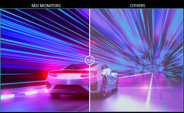 شاشة كمبيوتر ام اس اي