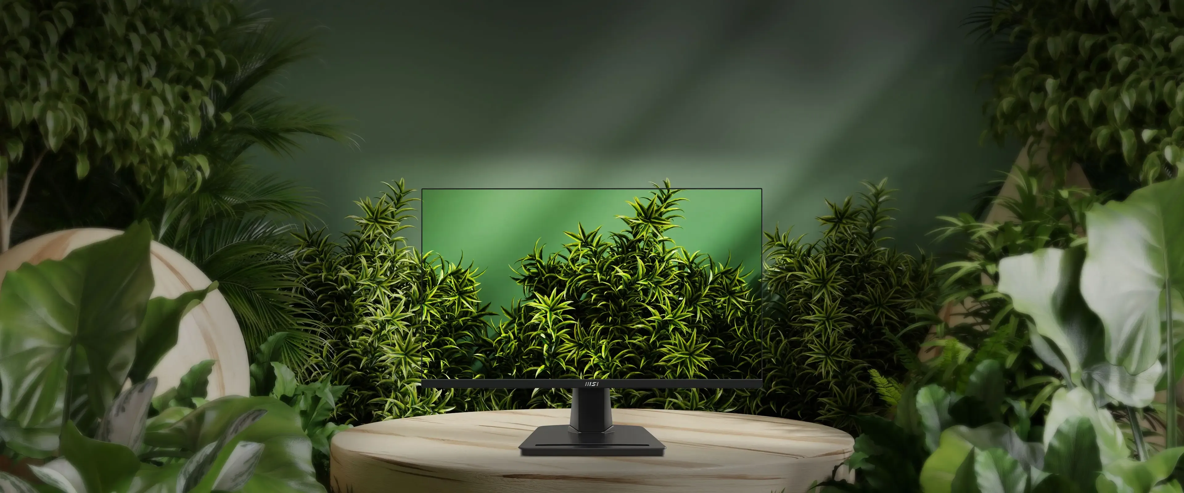 monitor for pc