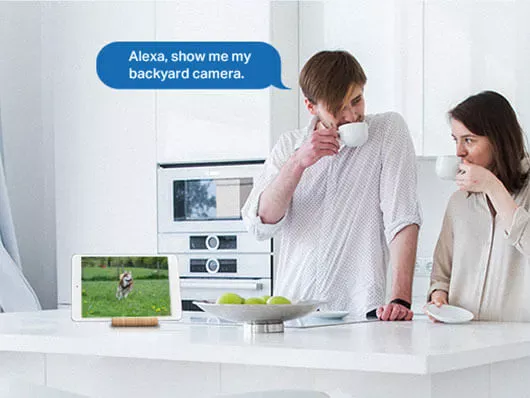 TP-Link Tapo C510W Voice Activated