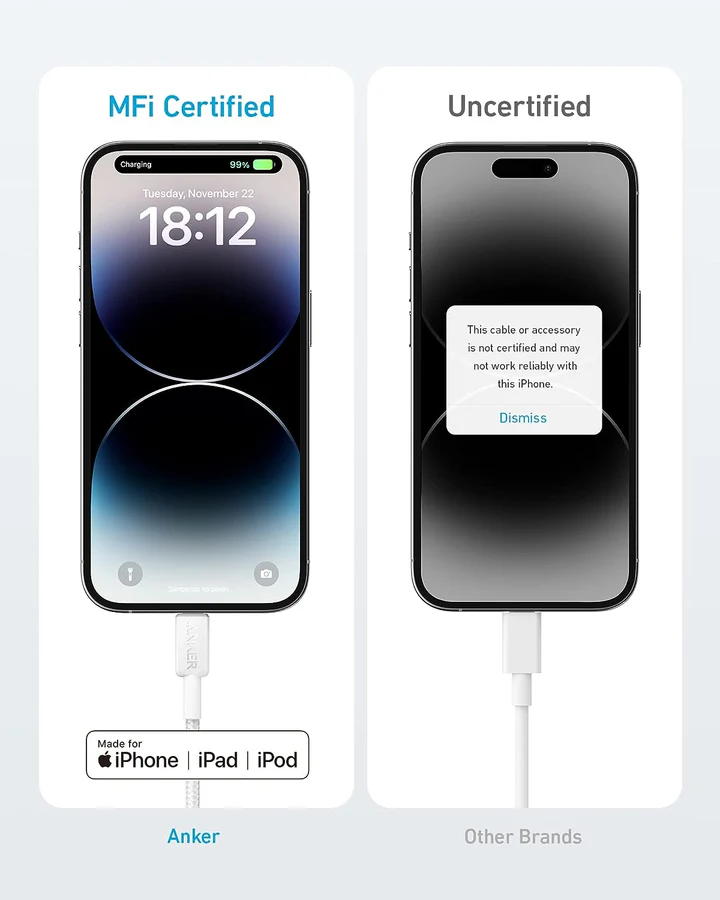 USB-C to Lightning Cable