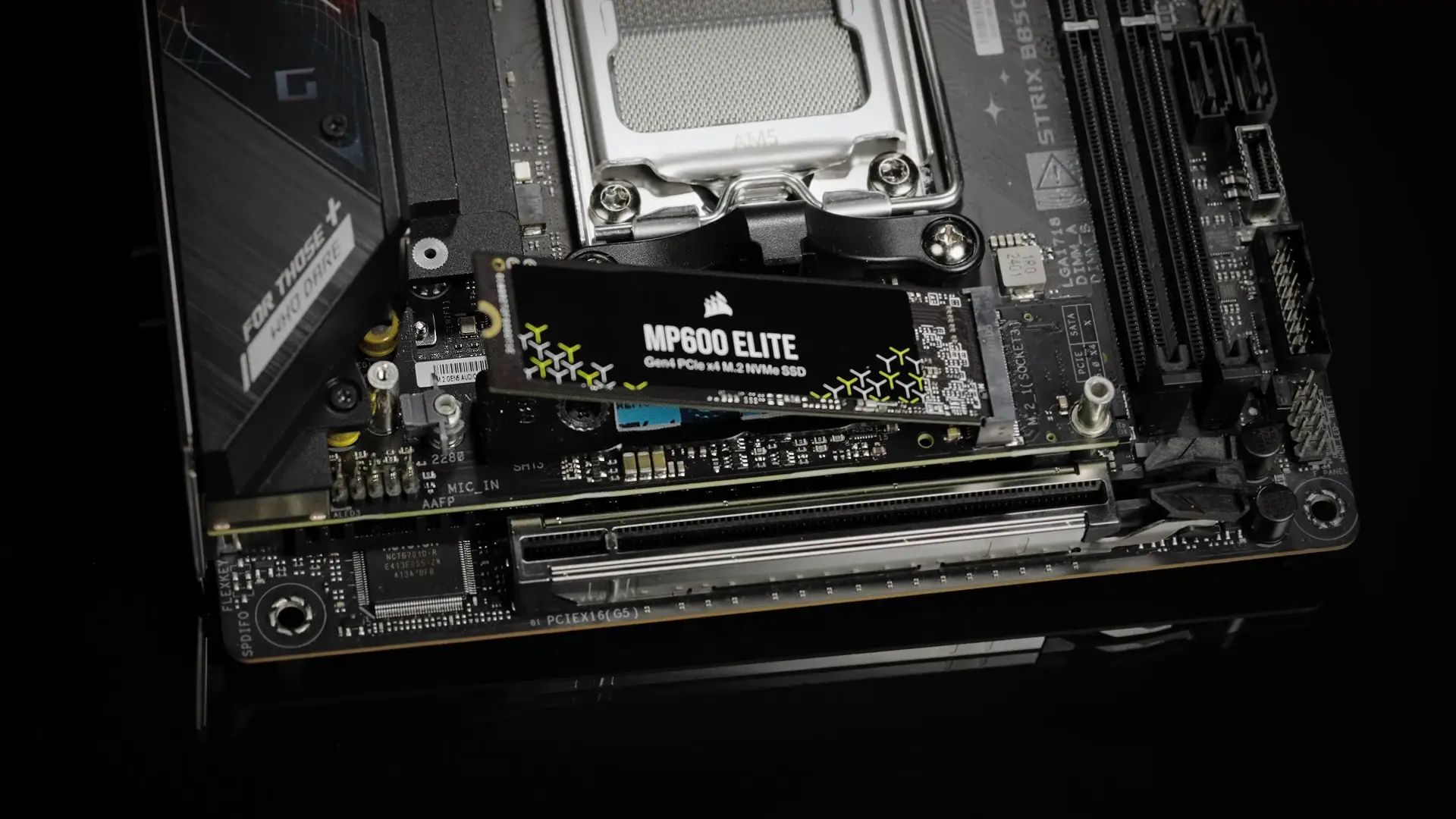 بوردة كمبيوتر بوردة كمبيوتر