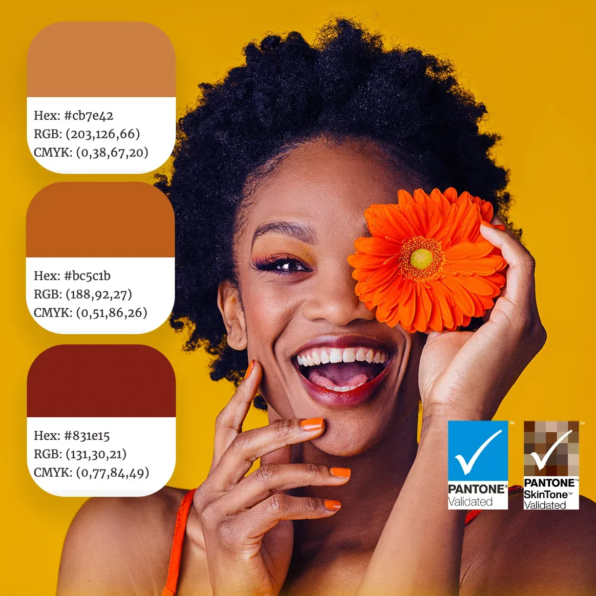 شاشة 27 بوصة