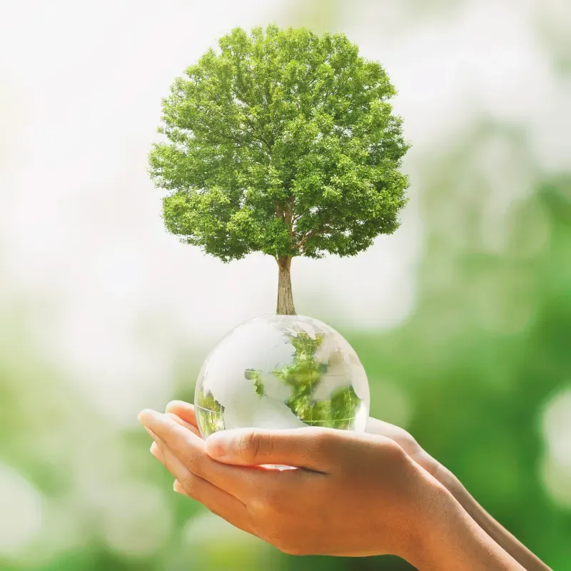 printer brother printer brother