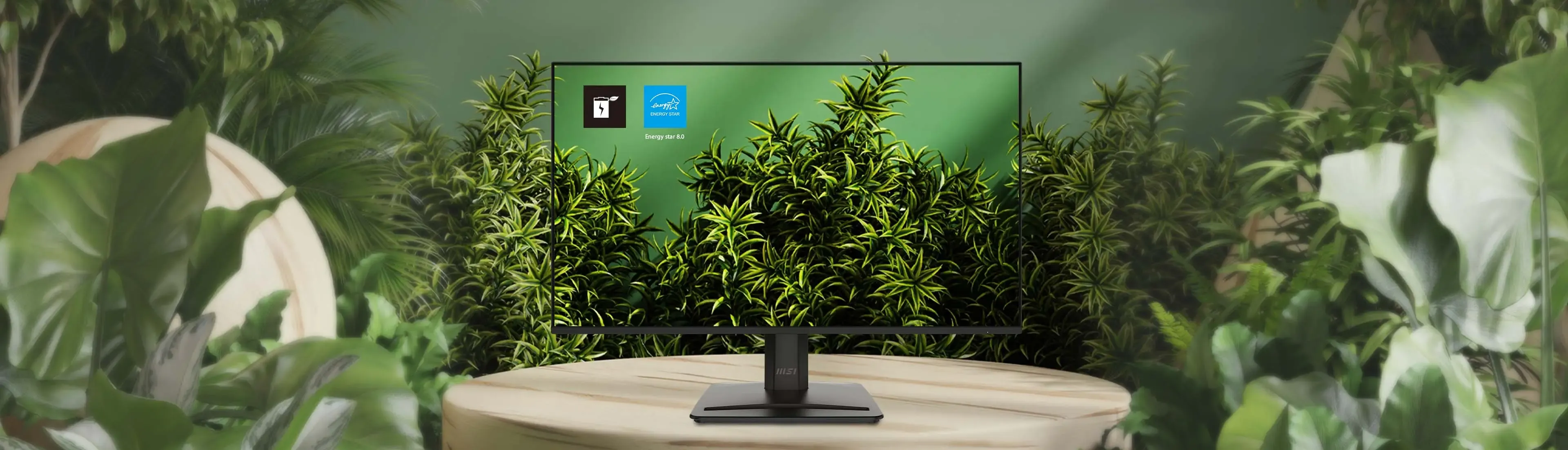 MSI PRO MP251 E2 monitor