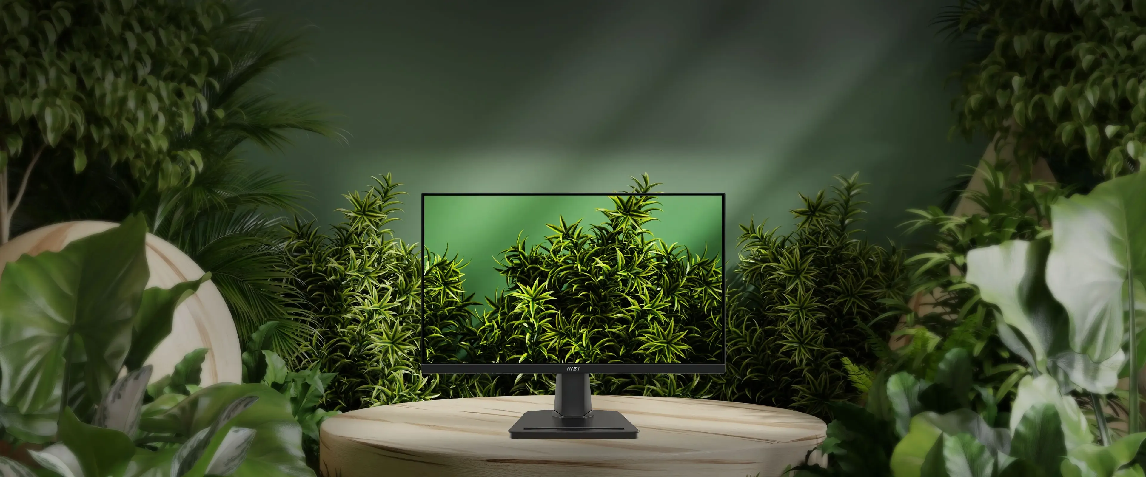 ام اس اي شاشة بيسي