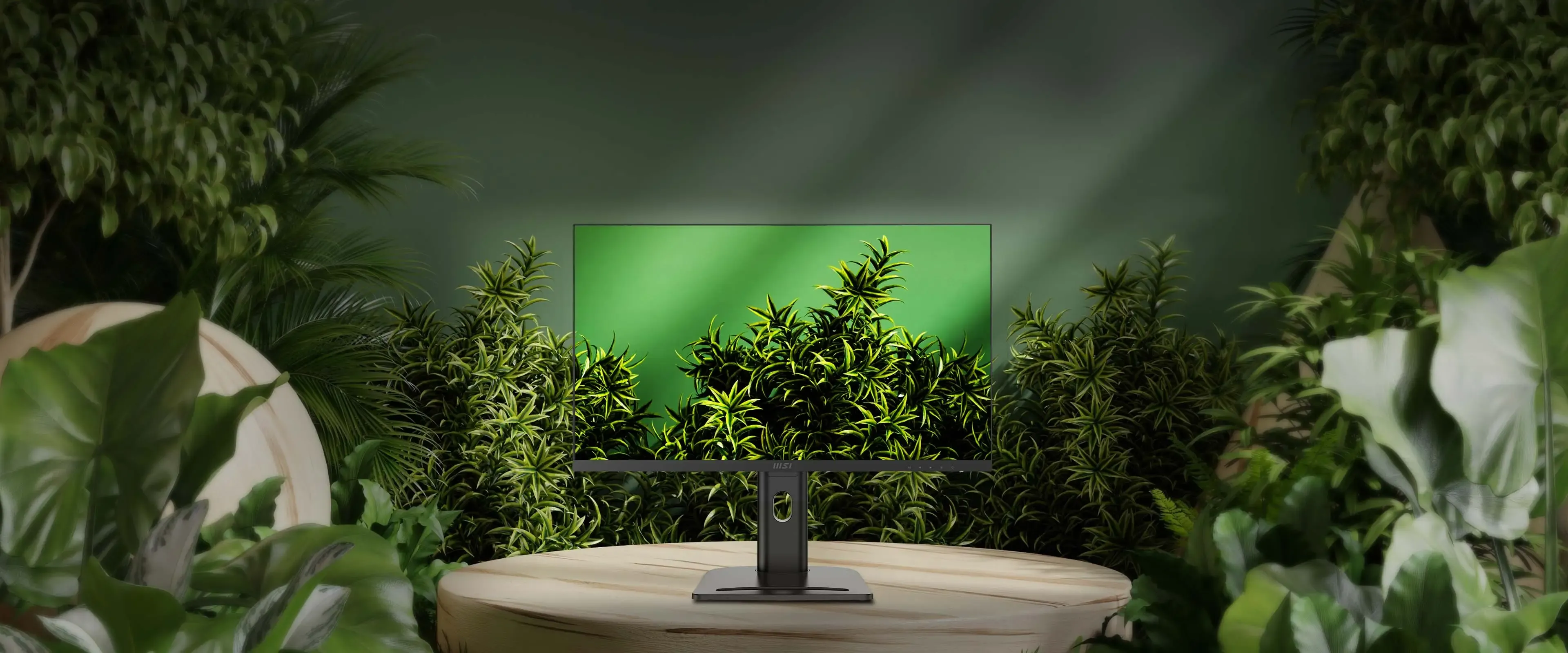 ام اس اي شاشة كمبيوتر