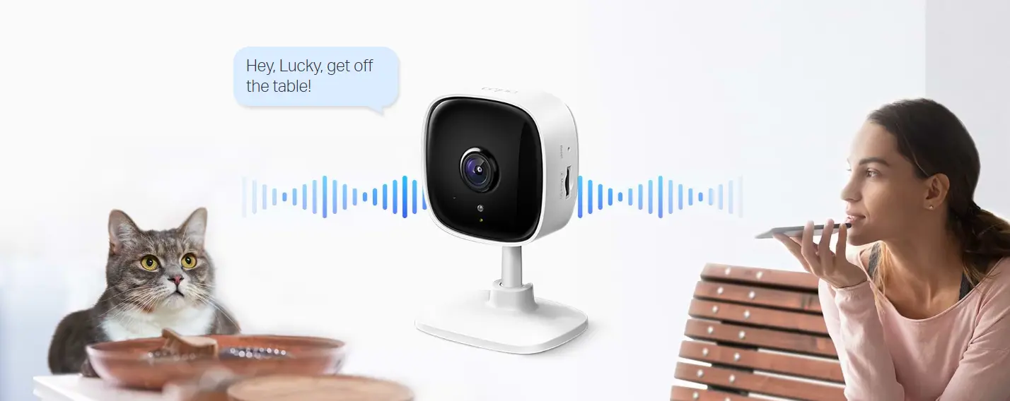 home cameras