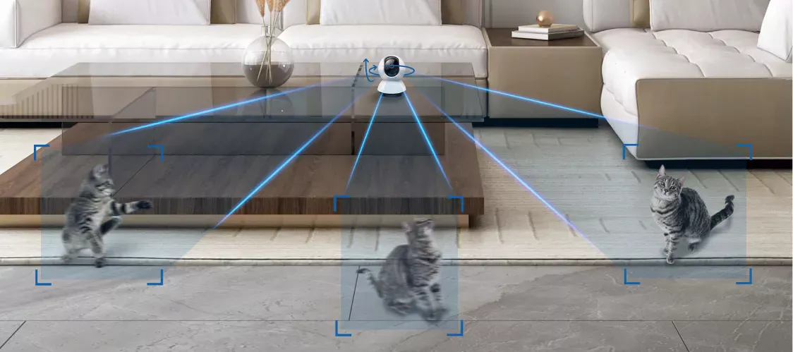 TP-Link Camera