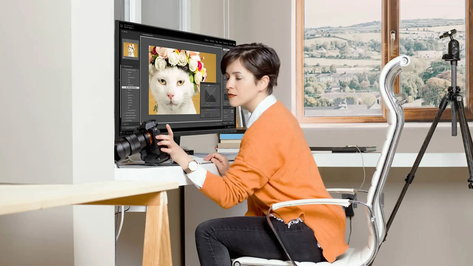 فيوسونيك شاشة للكمبيوتر