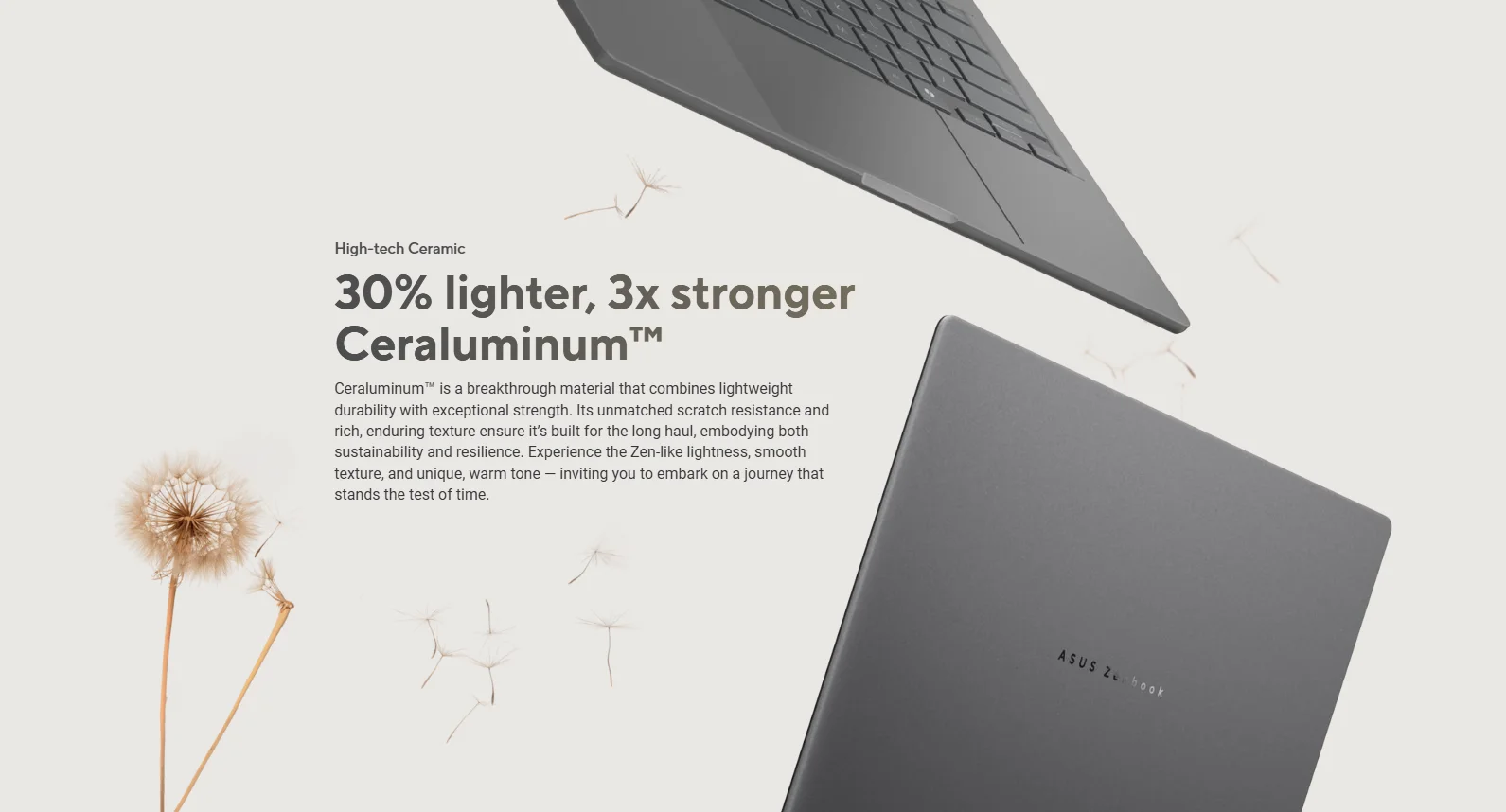 asus laptop zenbook