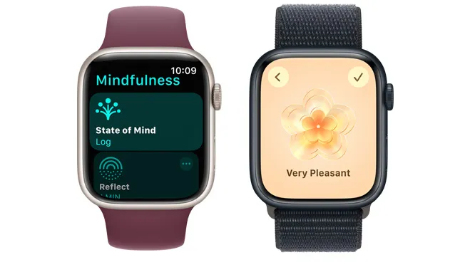 Apple Watch Series 9 Log your state of mind
