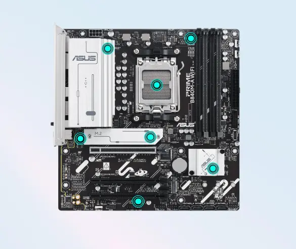 مازرد بور آسوس مازرد بور آسوس