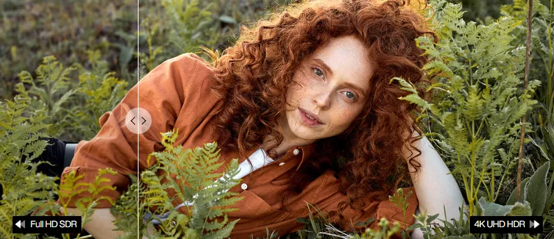 اسوس شاشة 4K اسوس شاشة 4K