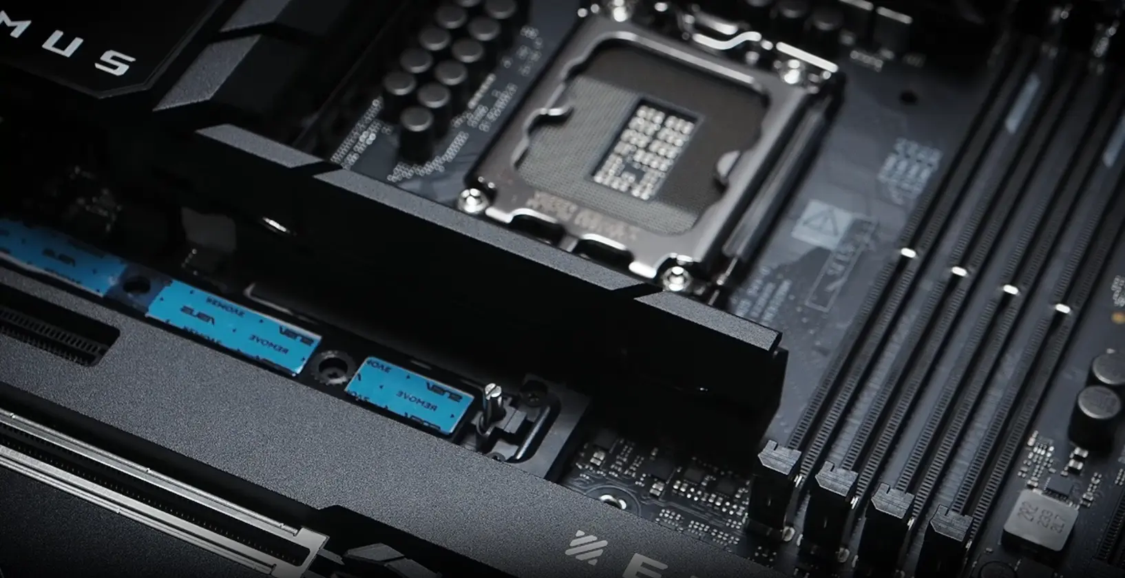 مازر بورد اسوس روج ماكسيموس مازر بورد اسوس روج ماكسيموس