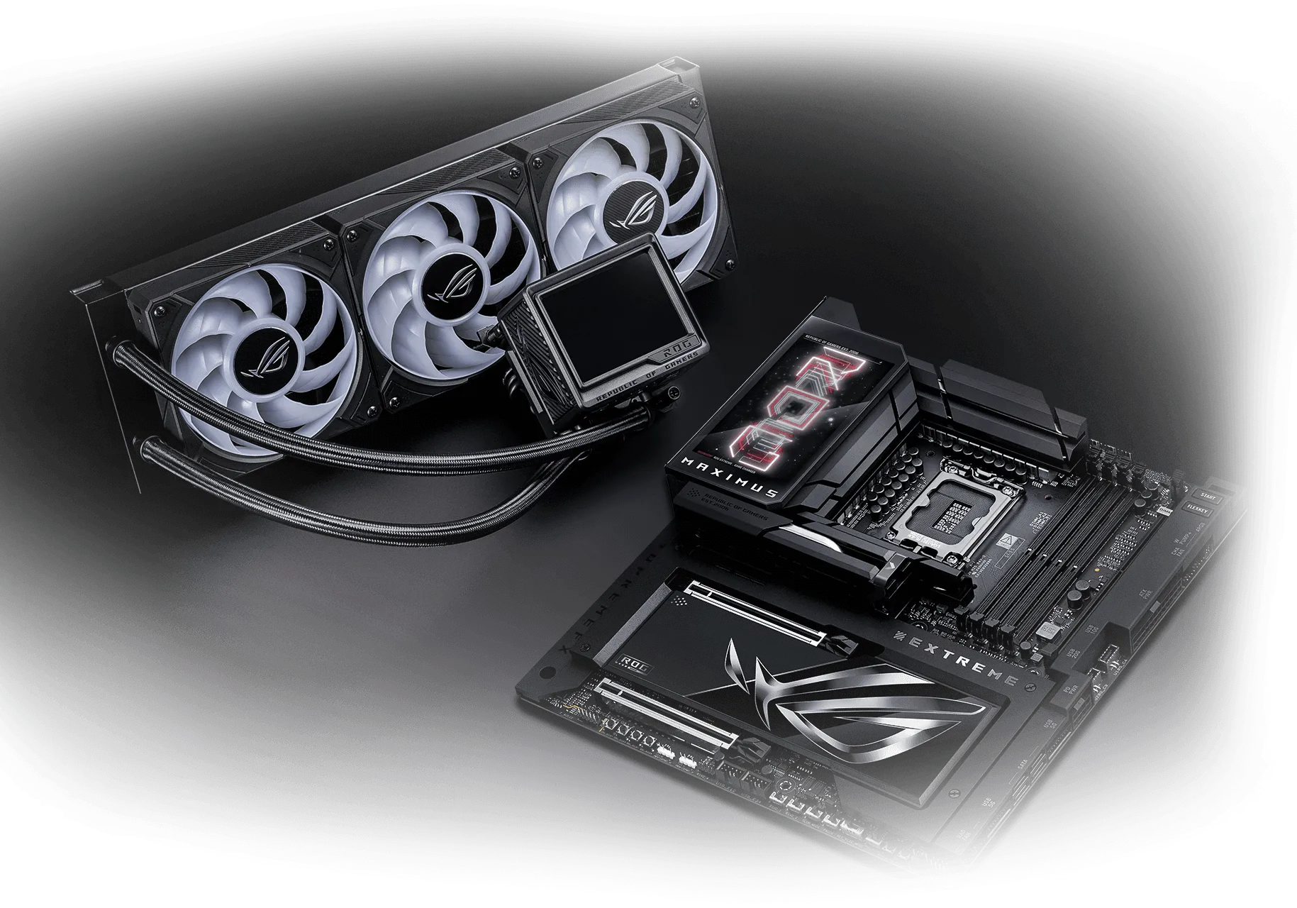 مازر بورد روج ماكسيموس مازر بورد روج ماكسيموس