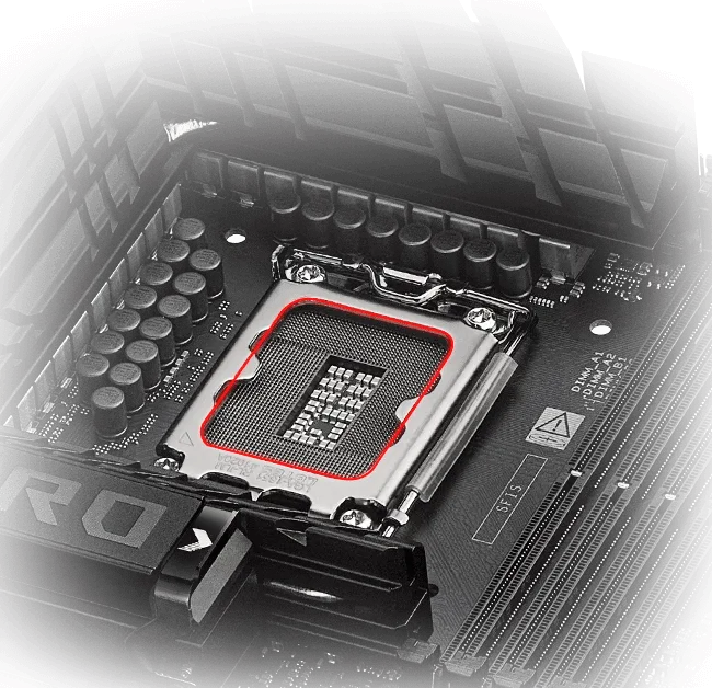 مازر بورد اسوس روج ماكسيموس مازر بورد اسوس روج ماكسيموس