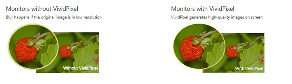 computer monitor computer monitor