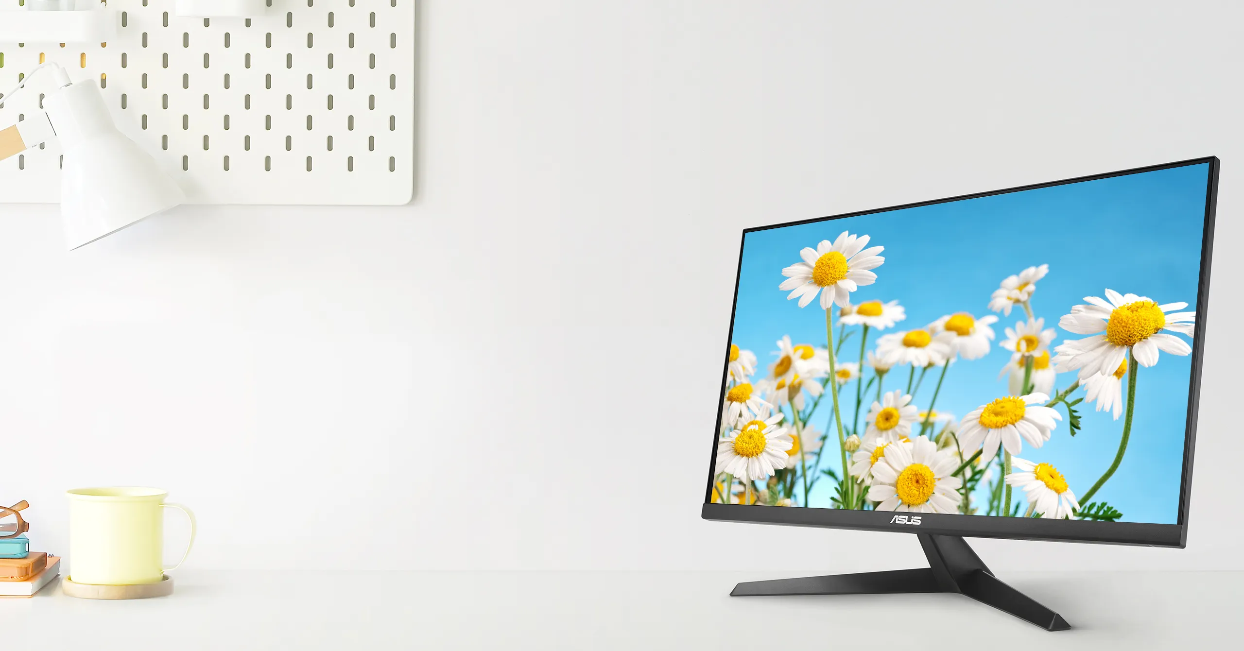 asus monitor