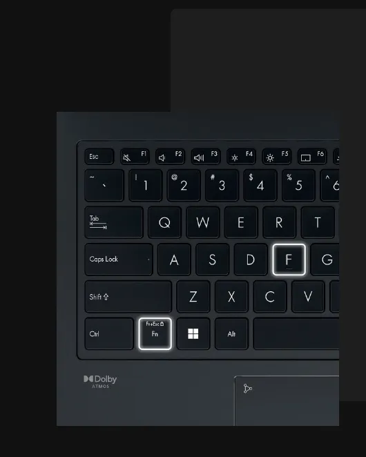 Asus Zenbook 14X Laptop