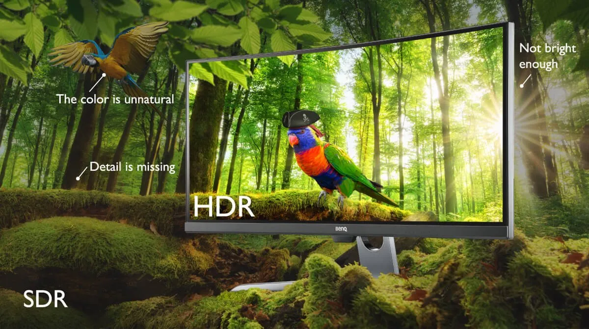 monitor computer benq