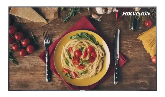 Hikvision DS-D6055UN-B