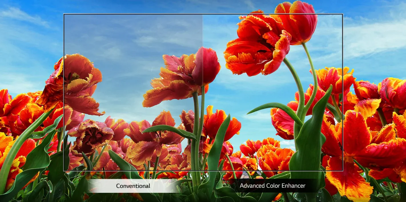 lg tv