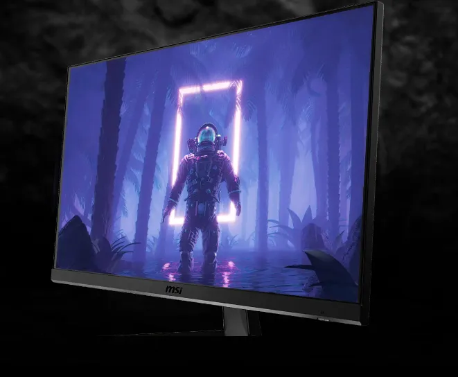 computer monitor