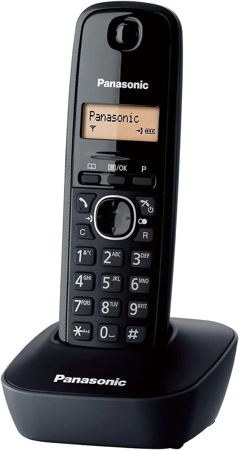 باناسونيك KX-TG1611FXH