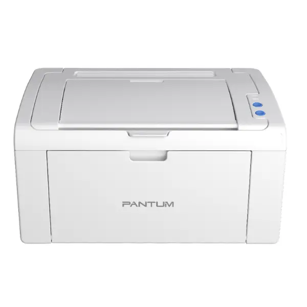 Pantum P2509W