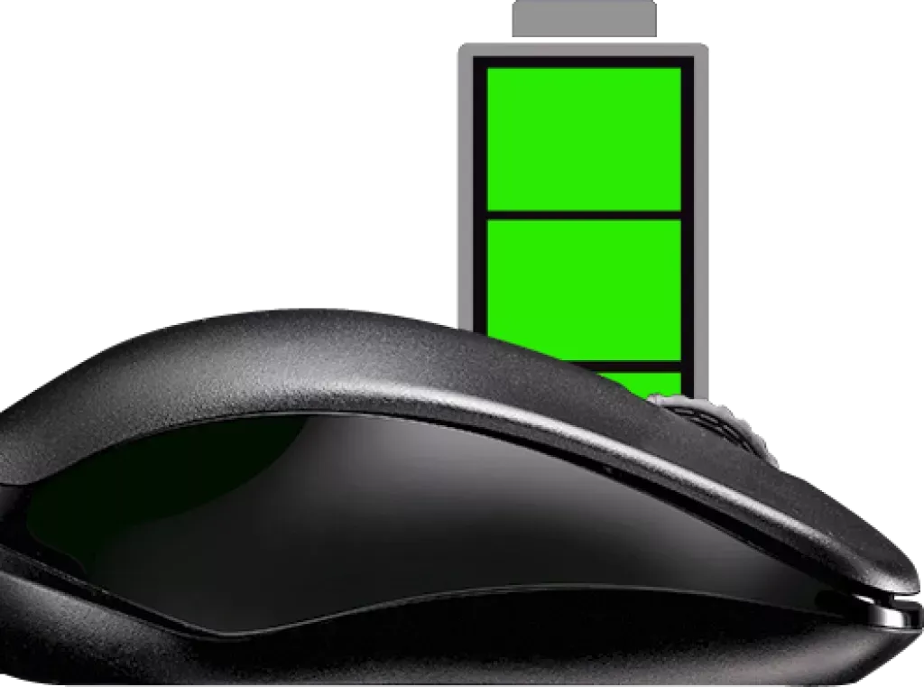 Rapoo 1620 Mouse