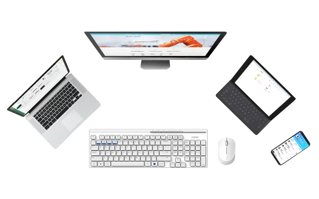 computer mouse