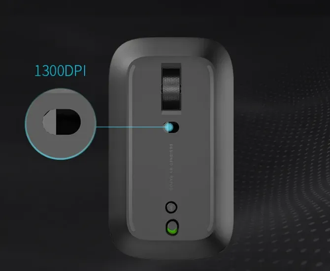 Wireless Mouse Rapoo