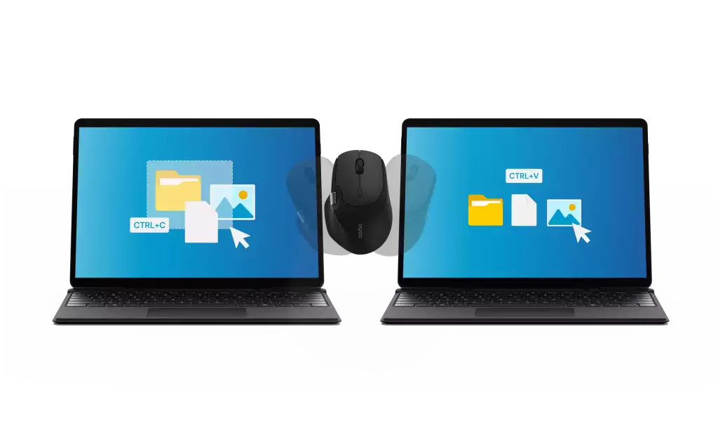 Rapoo MT760L Mouse