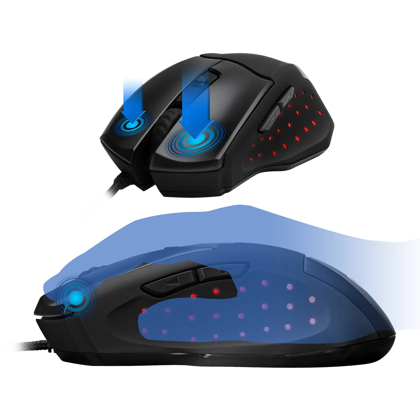 computer mouse