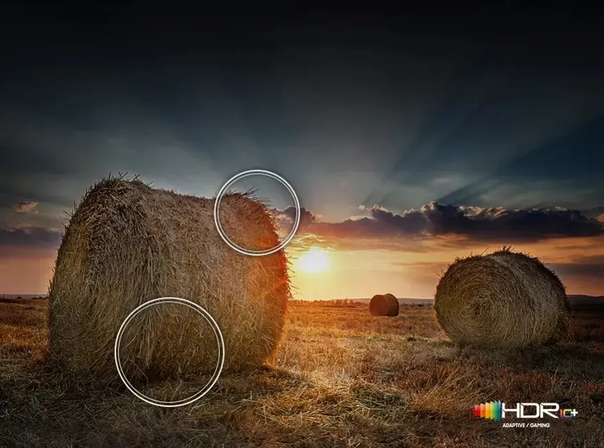 samsung tv 55 samsung tv 55