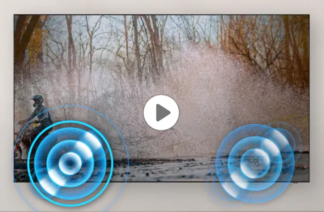 Samsung Q80D OTS Lite