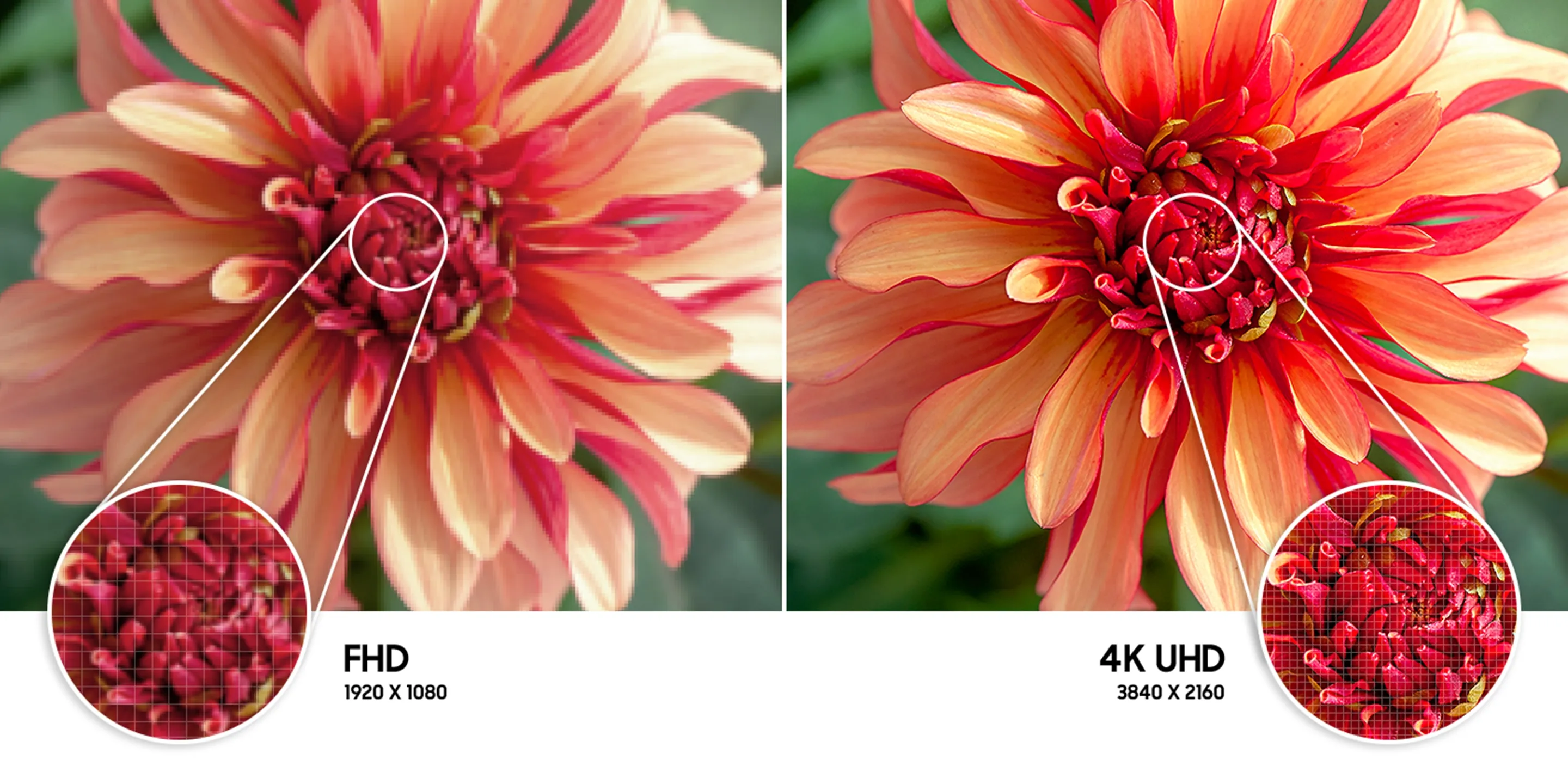 Samsung AU8000 اشعر بواقعية دقة 4K UHD