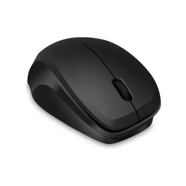 computer mouse