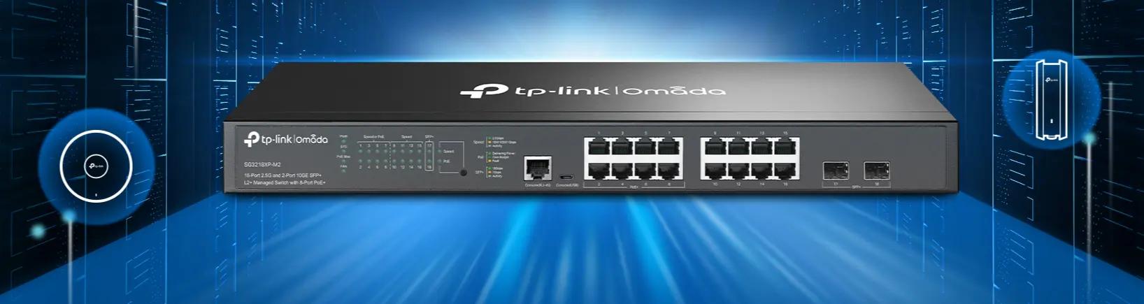 تي بي لينك SG3218XP-M2