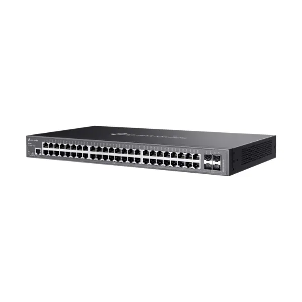 switch 48 port