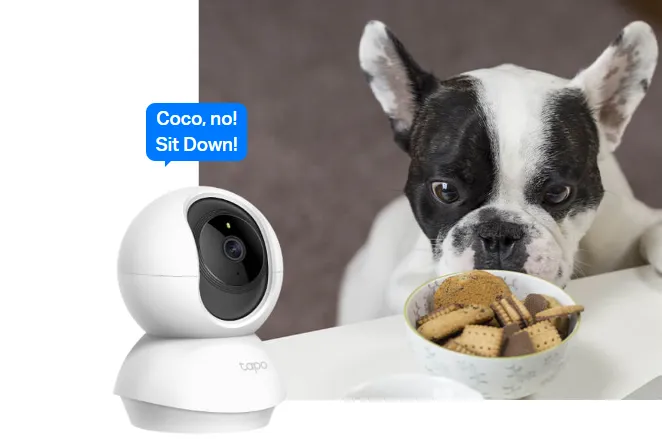 كاميرات المراقبة كاميرات المراقبة