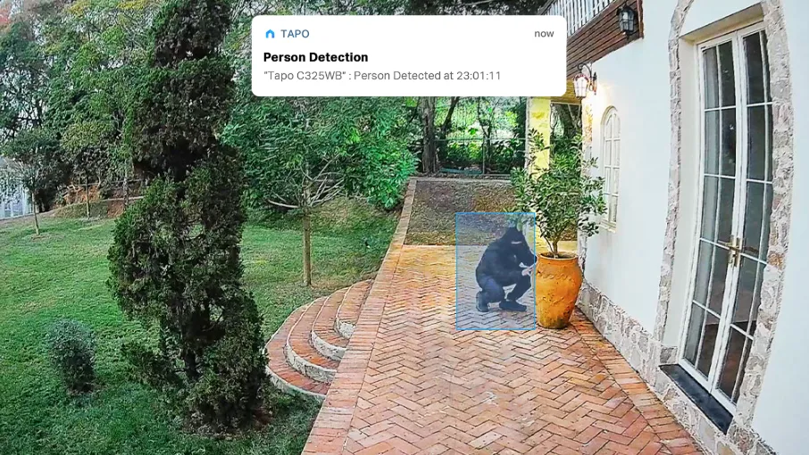 كاميرا تابو كاميرا تابو