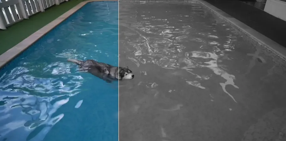 كاميرات المراقبة خارجية كاميرات المراقبة خارجية