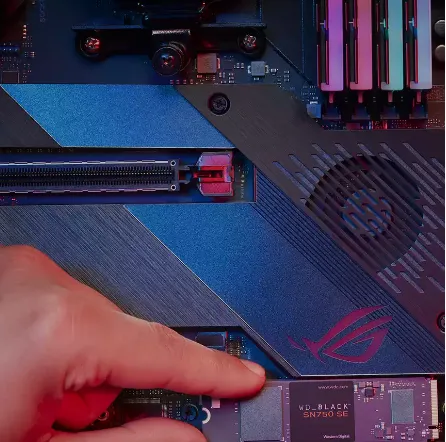 wd ssd