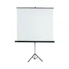 Projector Screen 200 x 200 cm