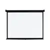 Projector Manual Screen 300 x 300 cm