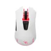 Rosewill ION D21