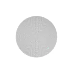 Network Ceiling Loudspeaker