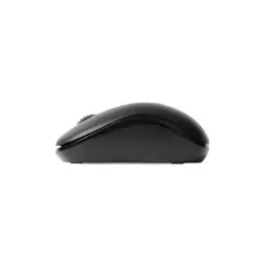 computer mouse