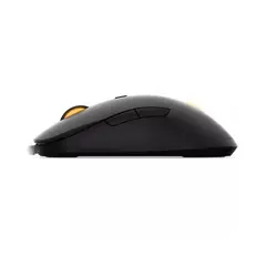 computer mouse